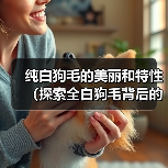 纯白狗毛的美丽和特性(探索全白狗毛背后的神秘世界) 纯白狗毛的美丽和特性(探索全白狗毛背后的神秘世界)
