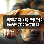英国人为什么常见绿眼睛?遗传奥秘全解析 英国人为什么常见绿眼睛?遗传奥秘全解析