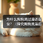 为什么狗狗洗过澡还是臭?(探究狗狗洗澡后依旧散发异味的原因及解决方法) 为什么狗狗洗过澡还是臭?(探究狗狗洗澡后依旧散发异味的原因及解决方法)