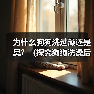为什么狗狗洗过澡还是臭?(探究狗狗洗澡后依旧散发异味的原因及解决方法) 为什么狗狗洗过澡还是臭?(探究狗狗洗澡后依旧散发异味的原因及解决方法)