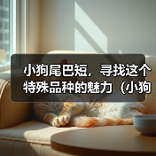 小狗尾巴短，寻找这个特殊品种的魅力（小狗尾巴短的奇特魅力与特征）
