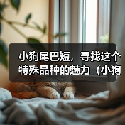 小狗尾巴短，寻找这个特殊品种的魅力（小狗尾巴短的奇特魅力与特征）
