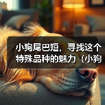 小狗尾巴短，寻找这个特殊品种的魅力（小狗尾巴短的奇特魅力与特征）