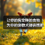 让你的狗变胖的食物(为你的宠物犬提供增肥的健康饮食) 让你的狗变胖的食物(为你的宠物犬提供增肥的健康饮食)