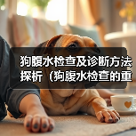 狗腹水检查及诊断方法探析(狗腹水检查的重要性及常见检查方法) 狗腹水检查及诊断方法探析(狗腹水检查的重要性及常见检查方法)