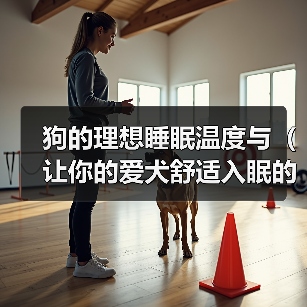狗的理想睡眠温度与(让你的爱犬舒适入眠的秘诀) 狗的理想睡眠温度与(让你的爱犬舒适入眠的秘诀)