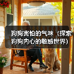 狗狗害怕的气味（探索狗狗内心的敏感世界）