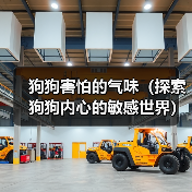 狗狗害怕的气味（探索狗狗内心的敏感世界）