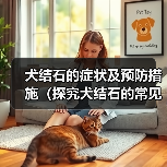 犬结石的症状及预防措施（探究犬结石的常见症状，为您的爱宠提供预防保健建议）