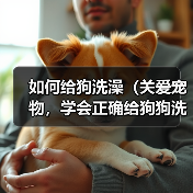 如何给狗洗澡（关爱宠物，学会正确给狗狗洗澡）