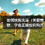 如何给狗洗澡（关爱宠物，学会正确给狗狗洗澡）