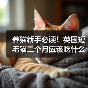 两个月英国短毛猫怎么吃才健康？饮食全攻略