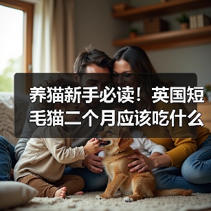 两个月英国短毛猫怎么吃才健康？饮食全攻略