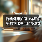 狗狗健康护理（详细解析狗狗出生后的预防针接种计划）
