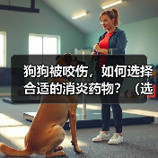 狗狗被咬伤，如何选择合适的消炎药物？（选择消炎药物需考虑伤口程度和狗狗个体差异）