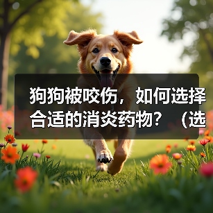 狗狗被咬伤，如何选择合适的消炎药物？（选择消炎药物需考虑伤口程度和狗狗个体差异）