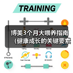 博美3个月大喂养指南（健康成长的关键要素和喂养技巧）