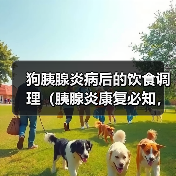 狗胰腺炎病后的饮食调理（胰腺炎康复必知，帮助狗狗恢复健康的营养饮食）