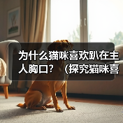 为什么猫咪喜欢趴在主人胸口？（探究猫咪喜欢趴在主人胸口的原因及其意义）
