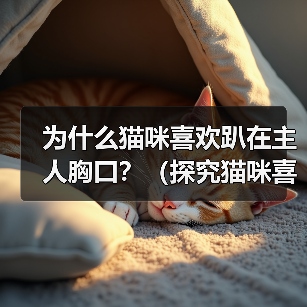 为什么猫咪喜欢趴在主人胸口？（探究猫咪喜欢趴在主人胸口的原因及其意义）