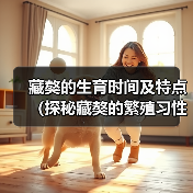 藏獒的生育时间及特点（探秘藏獒的繁殖习性与最佳生育时间）