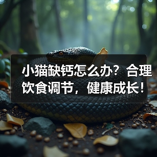 小猫缺钙怎么办？合理饮食调节，健康成长！（为小猫提供适宜的食物，预防钙缺乏问题）
