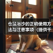 仓鼠浴沙的正确使用方法与注意事项（提供干净和舒适环境，保持仓鼠健康和快乐）