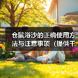 仓鼠浴沙的正确使用方法与注意事项（提供干净和舒适环境，保持仓鼠健康和快乐）