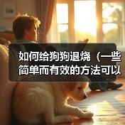如何给狗狗退烧（一些简单而有效的方法可以帮助您降低狗狗的体温）