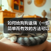 如何给狗狗退烧（一些简单而有效的方法可以帮助您降低狗狗的体温）