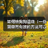 如何给狗狗退烧（一些简单而有效的方法可以帮助您降低狗狗的体温）