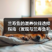 兰寿鱼的混养伙伴选择指南（发现与兰寿鱼和谐共处的鱼类伙伴）
