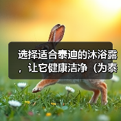 选择适合泰迪的沐浴露,让它健康洁净(为泰迪选择合适的沐浴露,关键是了解它的皮肤需求) 选择适合泰迪的沐浴露,让它健康洁净(为泰迪选择合适的沐浴露,关键是了解它的皮肤需求)