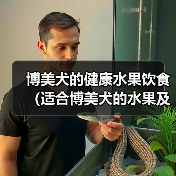 博美犬的健康水果饮食（适合博美犬的水果及其营养价值）