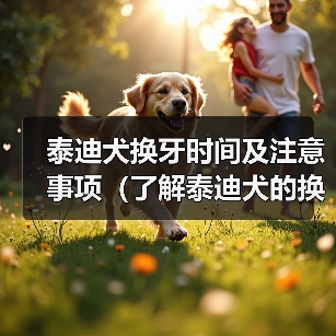 泰迪犬换牙时间及注意事项（了解泰迪犬的换牙周期，帮助它们健康成长）