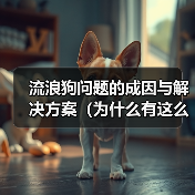 流浪狗问题的成因与解决方案（为什么有这么多流浪狗？如何解决流浪狗问题？）