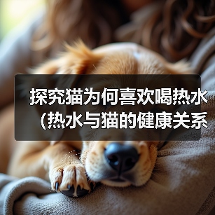 猫喝热水到底有没有好处？科学饮水指南