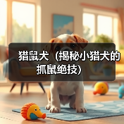 猎鼠犬(揭秘小猎犬的抓鼠绝技) 猎鼠犬(揭秘小猎犬的抓鼠绝技)