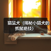 猎鼠犬(揭秘小猎犬的抓鼠绝技) 猎鼠犬(揭秘小猎犬的抓鼠绝技)