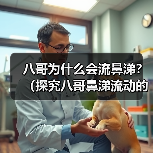 八哥为什么会流鼻涕?(探究八哥鼻涕流动的原因及预防方法) 八哥为什么会流鼻涕?(探究八哥鼻涕流动的原因及预防方法)