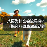 八哥为什么会流鼻涕?(探究八哥鼻涕流动的原因及预防方法) 八哥为什么会流鼻涕?(探究八哥鼻涕流动的原因及预防方法)