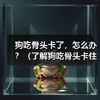 狗吃骨头卡了,怎么办?(了解狗吃骨头卡住的常见症状及应对措施) 狗吃骨头卡了,怎么办?(了解狗吃骨头卡住的常见症状及应对措施)