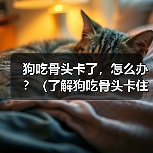 狗吃骨头卡了,怎么办?(了解狗吃骨头卡住的常见症状及应对措施) 狗吃骨头卡了,怎么办?(了解狗吃骨头卡住的常见症状及应对措施)