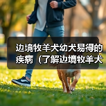 边境牧羊犬幼犬易得的疾病（了解边境牧羊犬幼犬常见疾病及预防措施）