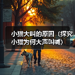 小猫大叫的原因(探究小猫为何大声叫喊) 小猫大叫的原因(探究小猫为何大声叫喊)