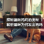 探秘猫咪呜呜的奥秘(解析猫咪为何发出呜呜声) 探秘猫咪呜呜的奥秘(解析猫咪为何发出呜呜声)