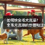 如何给金毛犬洗澡?(金毛犬洗澡的步骤和注意事项) 如何给金毛犬洗澡?(金毛犬洗澡的步骤和注意事项)