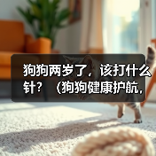 狗狗两岁了，该打什么针？（狗狗健康护航，重要疫苗你了解吗？）