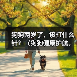 狗狗两岁了，该打什么针？（狗狗健康护航，重要疫苗你了解吗？）