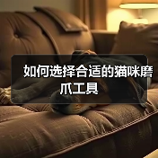 如何选择合适的猫咪磨爪工具 如何选择合适的猫咪磨爪工具
